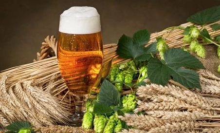 精釀啤酒中，如何選擇恰當(dāng)?shù)慕湻椒ǎ?> </a>
    </dt> 
    <dd> 
     <h4><a href=